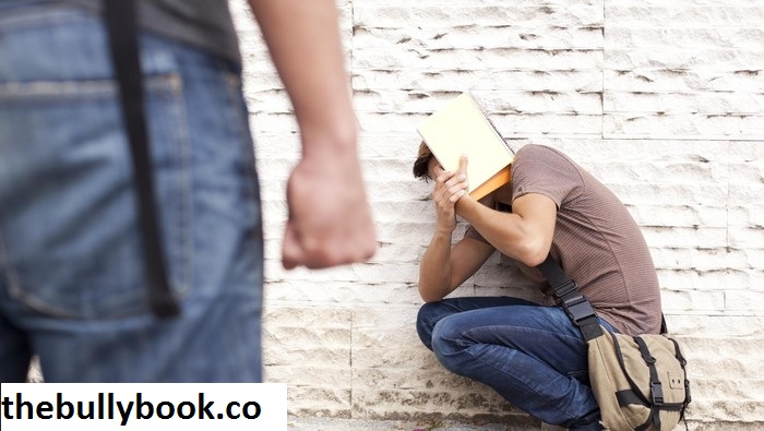 Informasi Buku Tentang Bullying