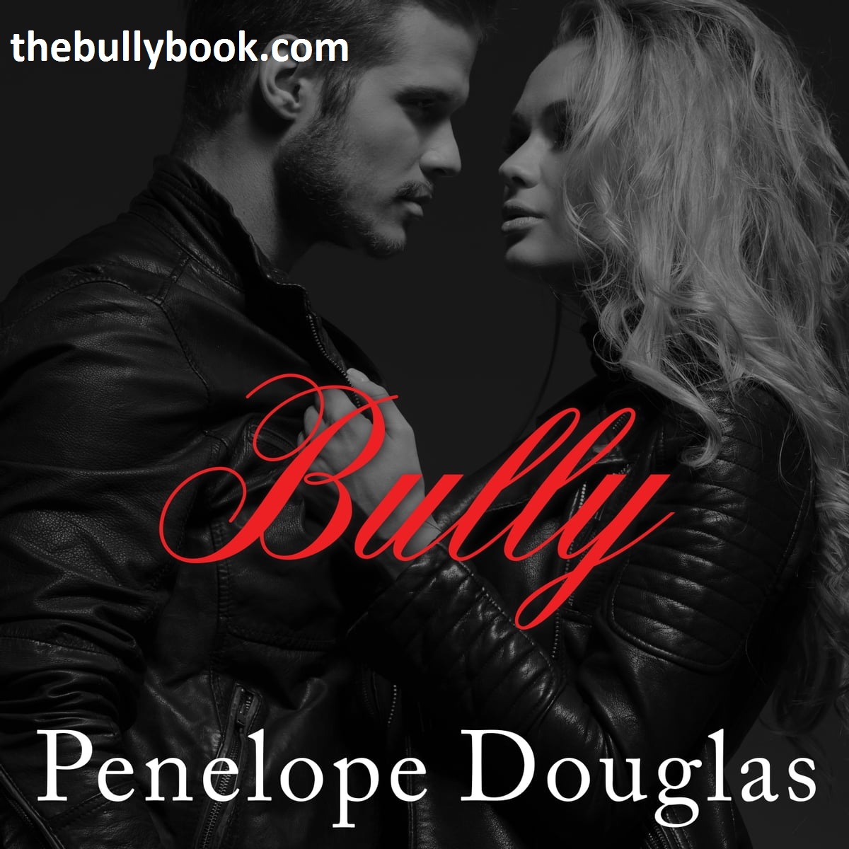 RESENSI BUKU – BULLY OLEH PENELOPE DOUGLAS